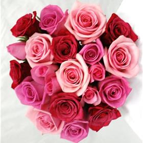 fwthumb1 (32).jpg